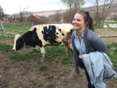 At a dairy farm in Romania. Every time I'd try to touch a cow it would walk away for me.
